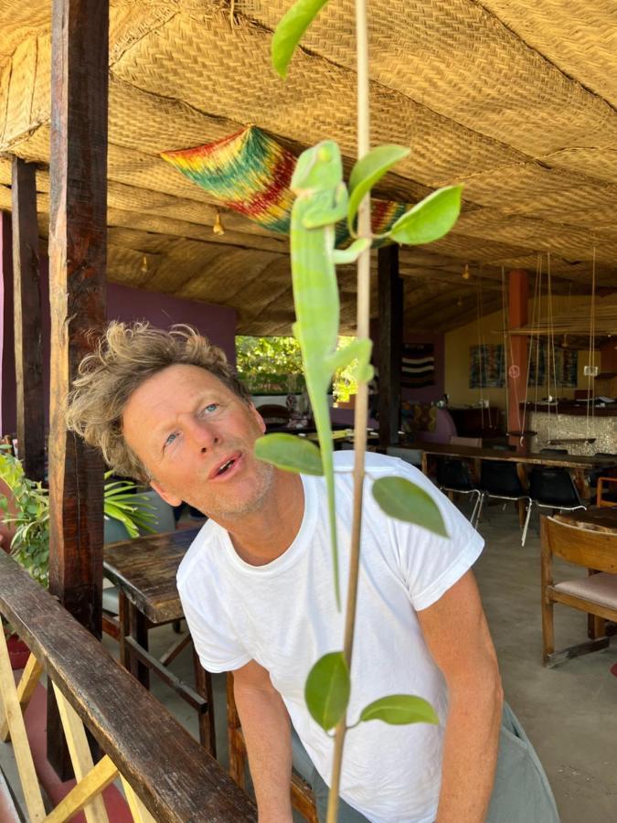 Nemasu Eco-Lodge Gunjur Kültér fotó